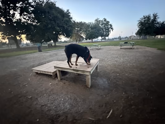 Max Baer Dog Park photo 1